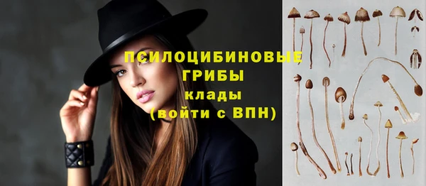apvp Абаза