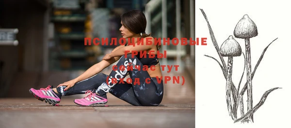 МДПВ Абдулино