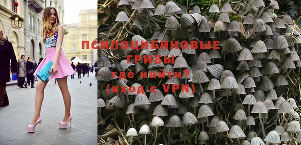 apvp Абаза