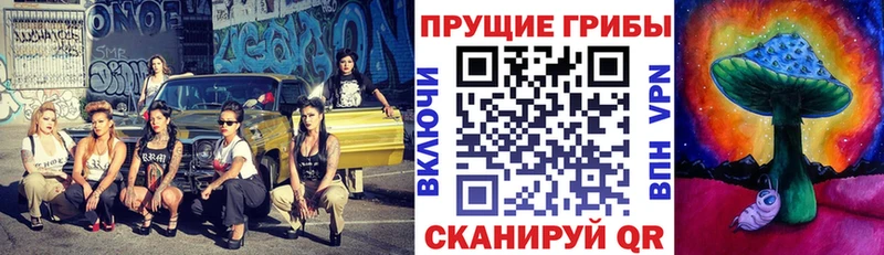что такое наркотик  Комсомольск-на-Амуре  Псилоцибиновые грибы Psilocybe 